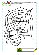 Coloring for Children: Insects